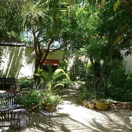 Decu Downtown Hotel Merida Exterior photo