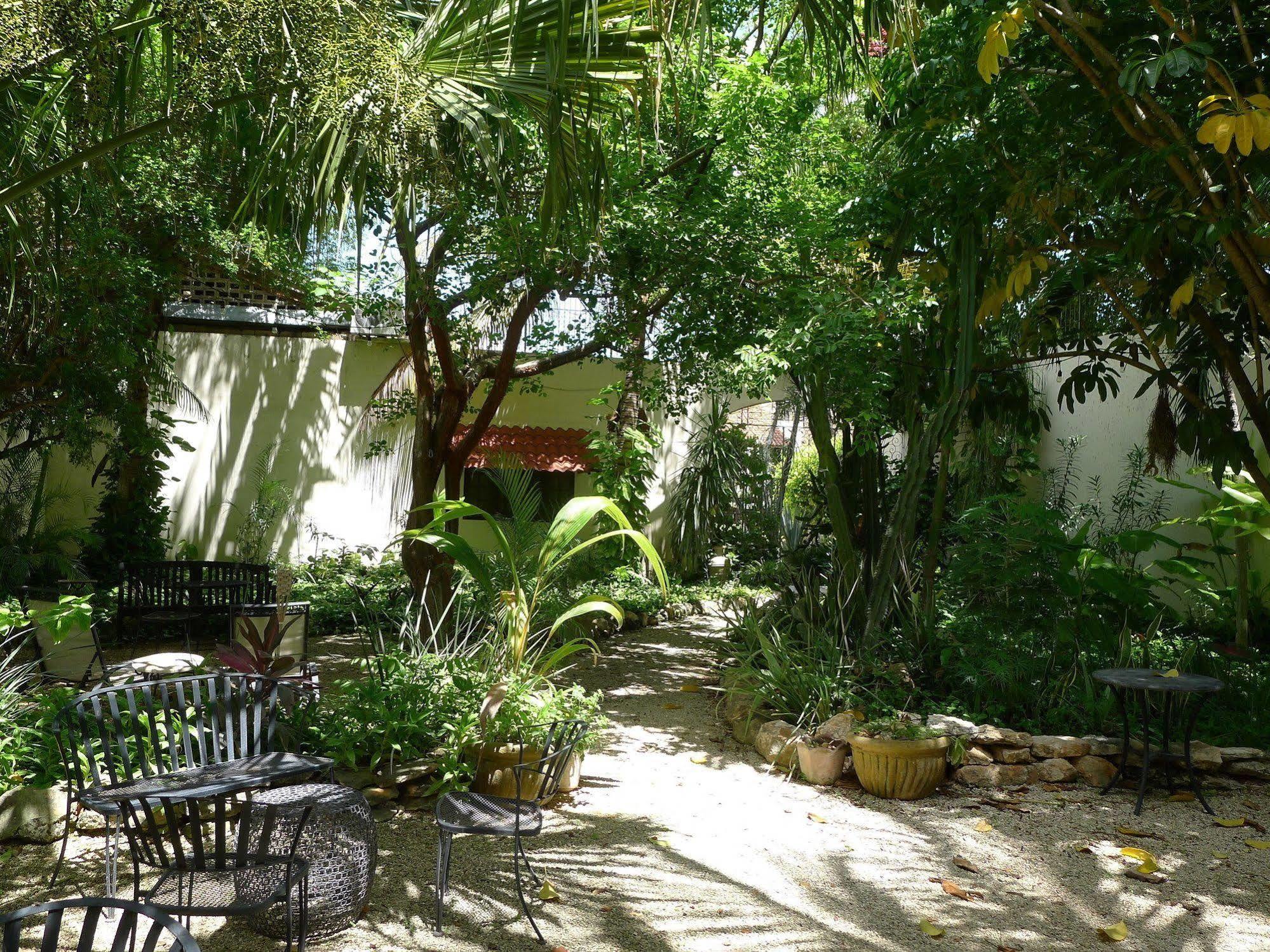 Decu Downtown Hotel Merida Exterior photo